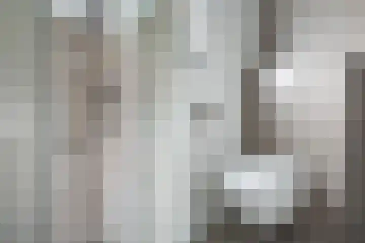 Grutto 15 Berkel en Rodenrijs thumbnail 24