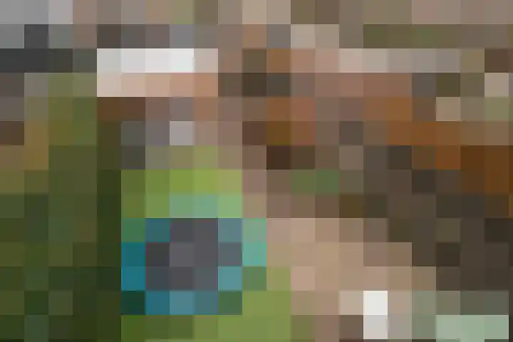 Grutto 15 Berkel en Rodenrijs thumbnail 27
