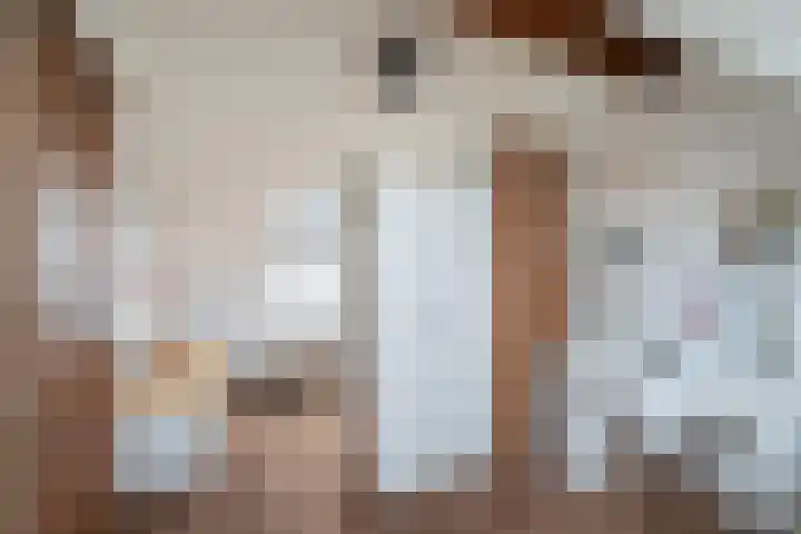 Grutto 15 Berkel en Rodenrijs thumbnail 37