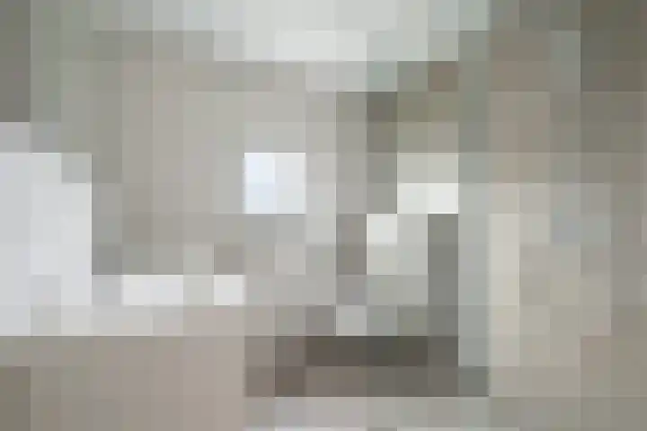Grutto 15 Berkel en Rodenrijs thumbnail 4