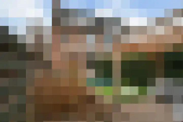 Grutto 15 Berkel en Rodenrijs thumbnail 44