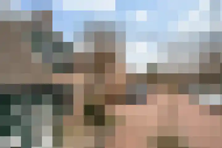 Grutto 15 Berkel en Rodenrijs thumbnail 6