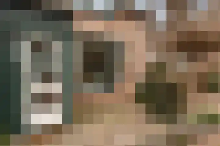 Grutto 15 Berkel en Rodenrijs thumbnail 7