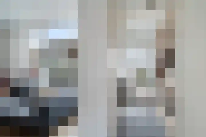Grutto 15 Berkel en Rodenrijs thumbnail 8
