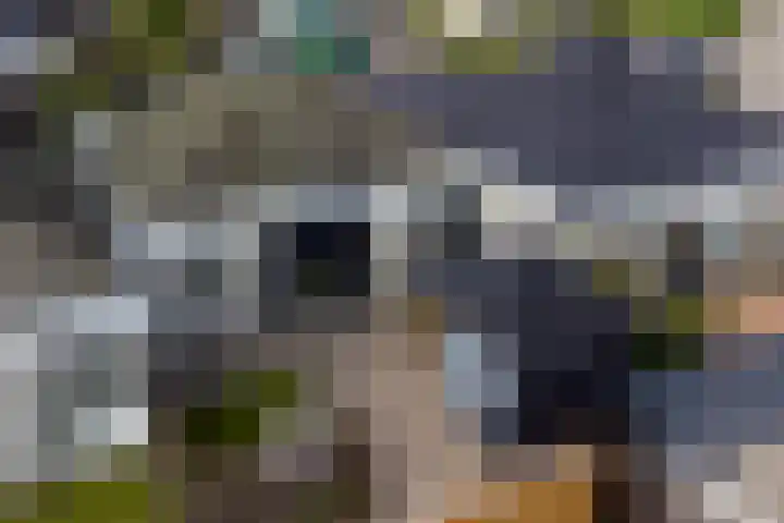 Grutto 15 Grijpskerk thumbnail 11