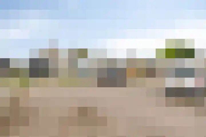 Grutto 15 Grijpskerk thumbnail 15