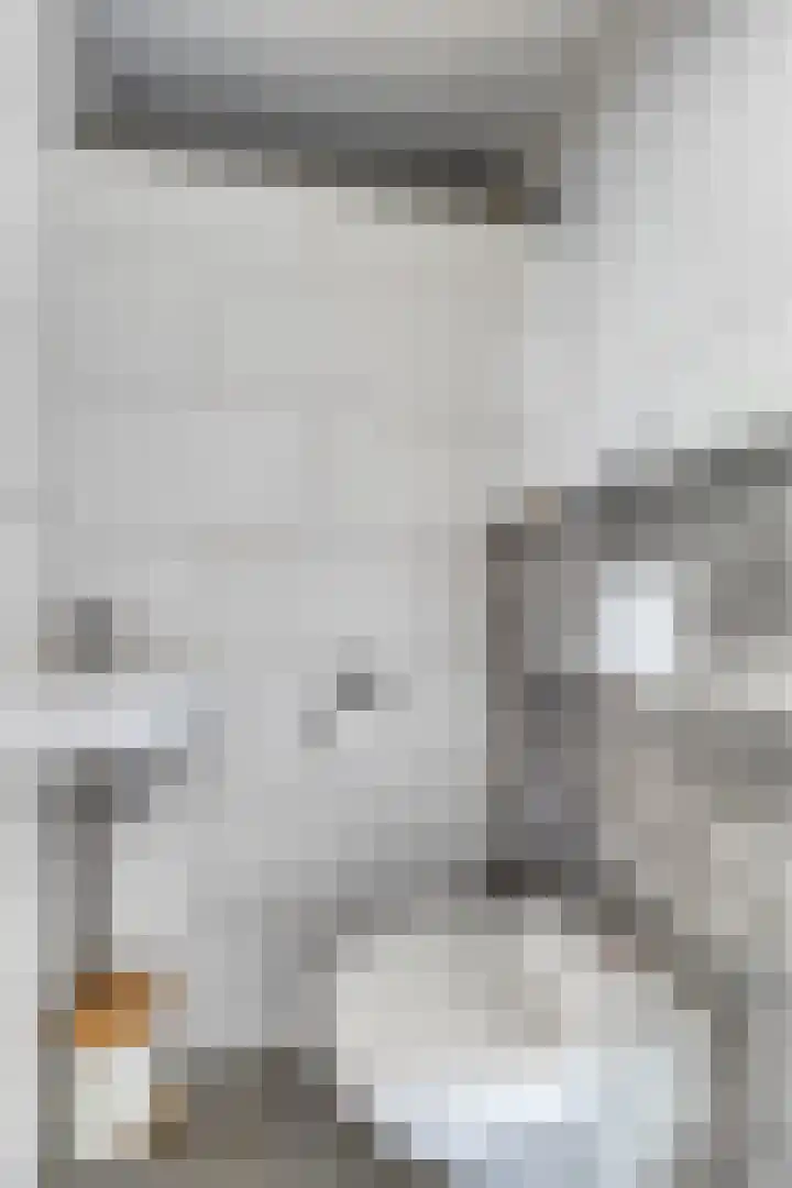 Grutto 15 Grijpskerk thumbnail 17