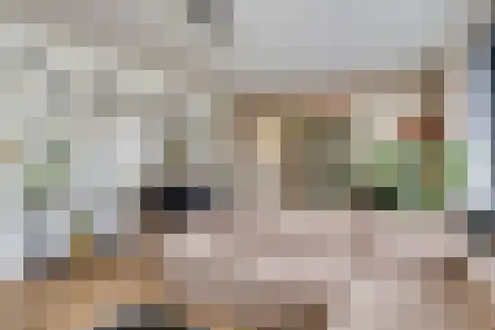 Grutto 15 Grijpskerk thumbnail 21