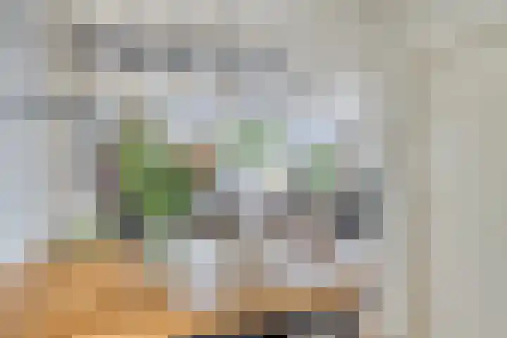 Grutto 15 Grijpskerk thumbnail 26