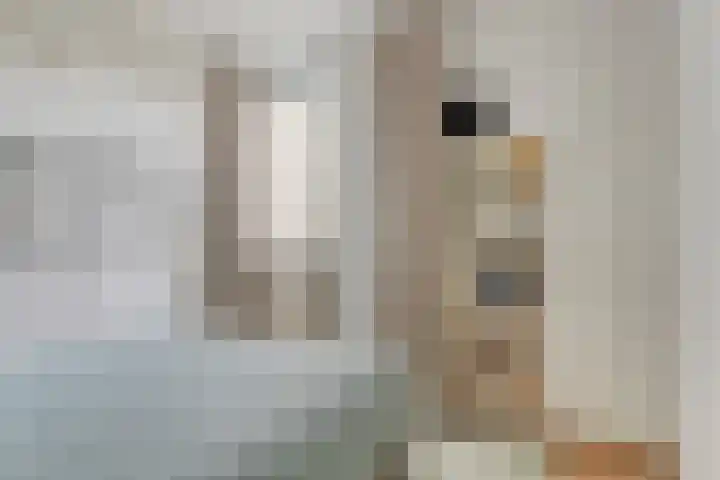 Grutto 15 Grijpskerk thumbnail 29