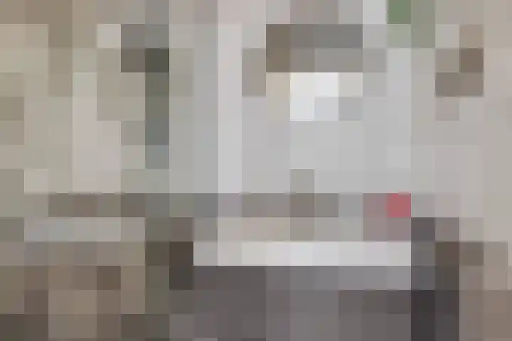 Grutto 15 Grijpskerk thumbnail 30