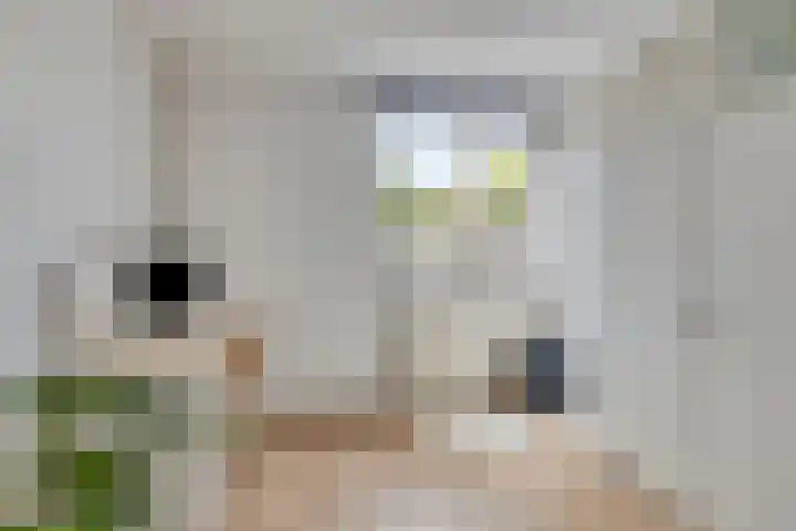 Grutto 15 Grijpskerk thumbnail 33