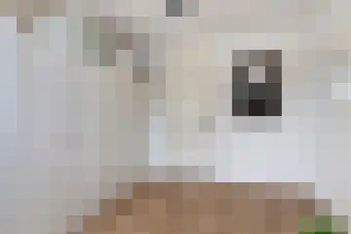 Grutto 15 Grijpskerk thumbnail 34