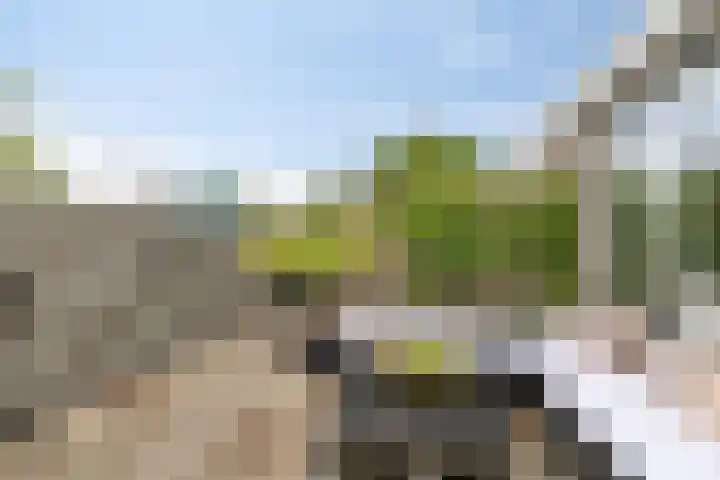 Grutto 15 Grijpskerk thumbnail 35