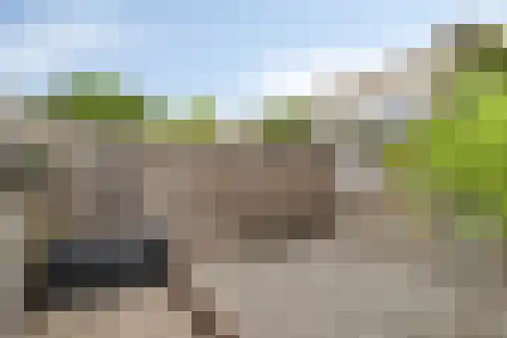Grutto 15 Grijpskerk thumbnail 38
