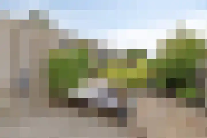 Grutto 15 Grijpskerk thumbnail 39