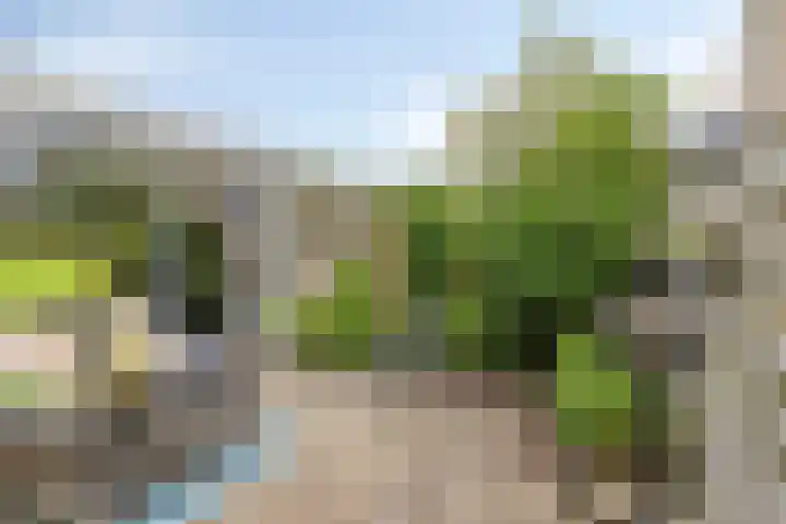 Grutto 15 Grijpskerk thumbnail 9