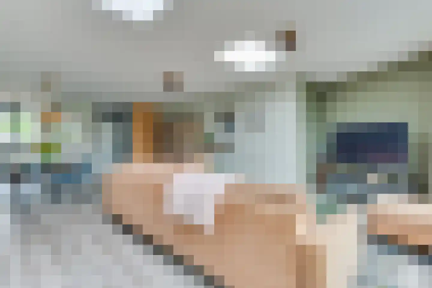 Grutto 15 Obdam thumbnail 12