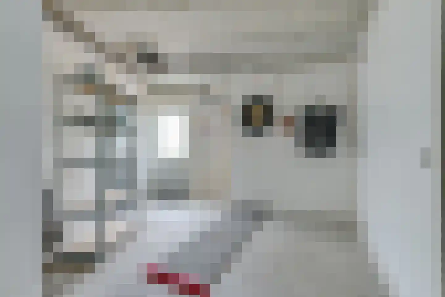 Grutto 15 Obdam thumbnail 21