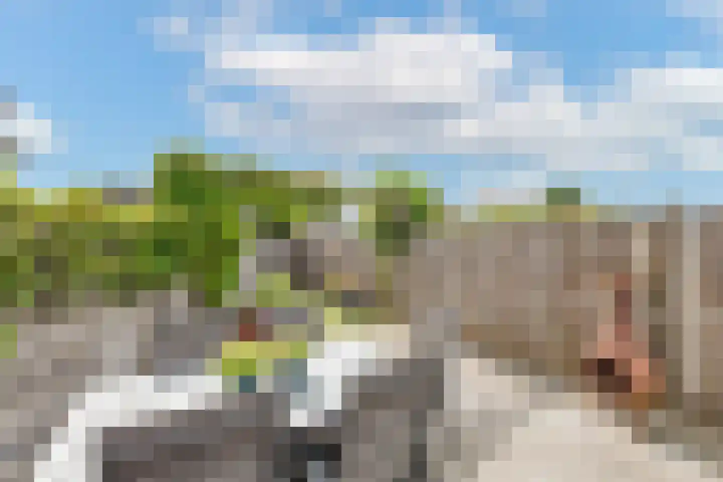 Grutto 15 Obdam thumbnail 47