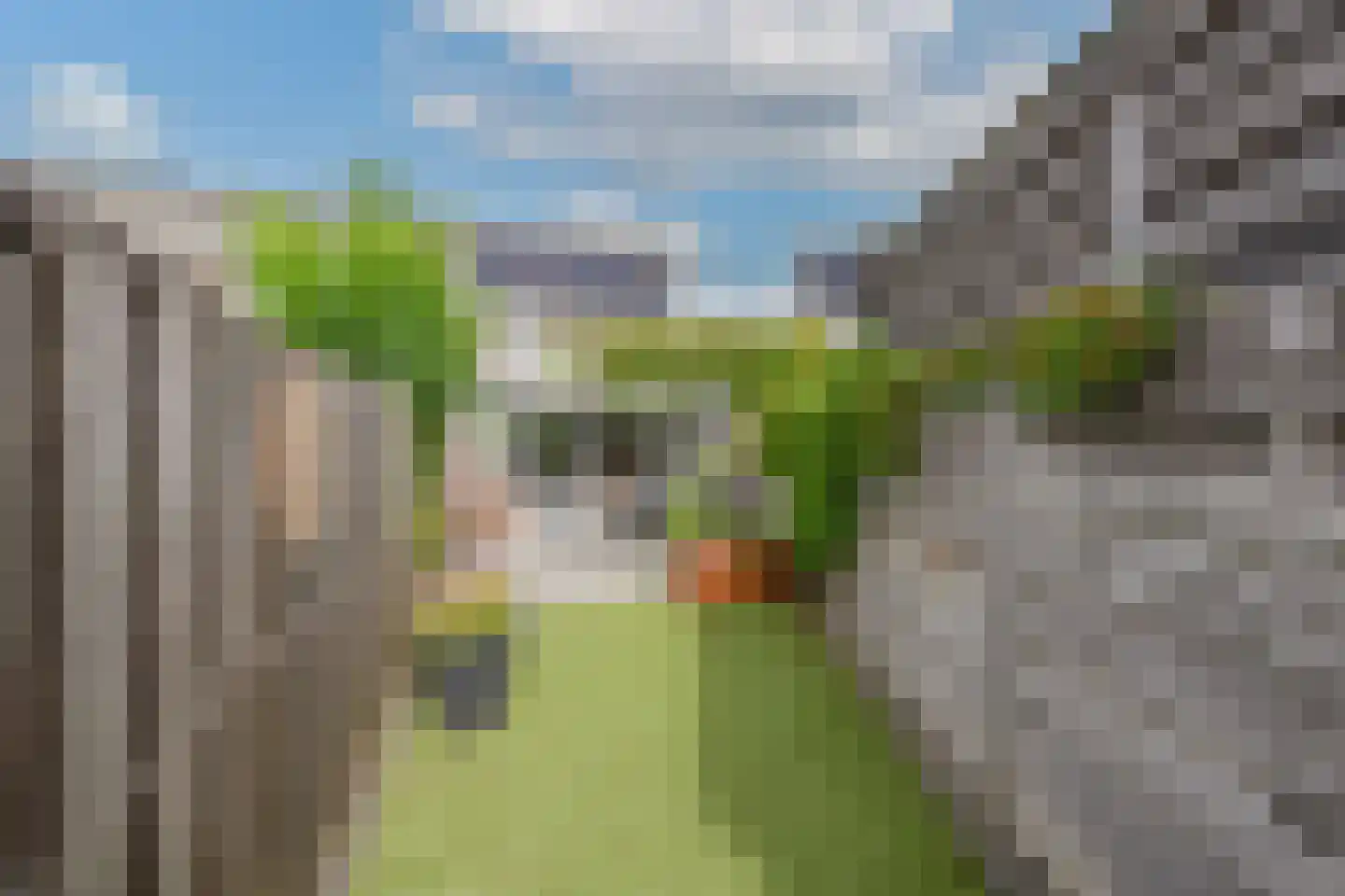 Grutto 15 Obdam thumbnail 49