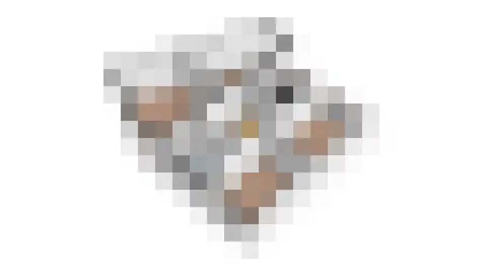 Grutto 15 Obdam thumbnail 59