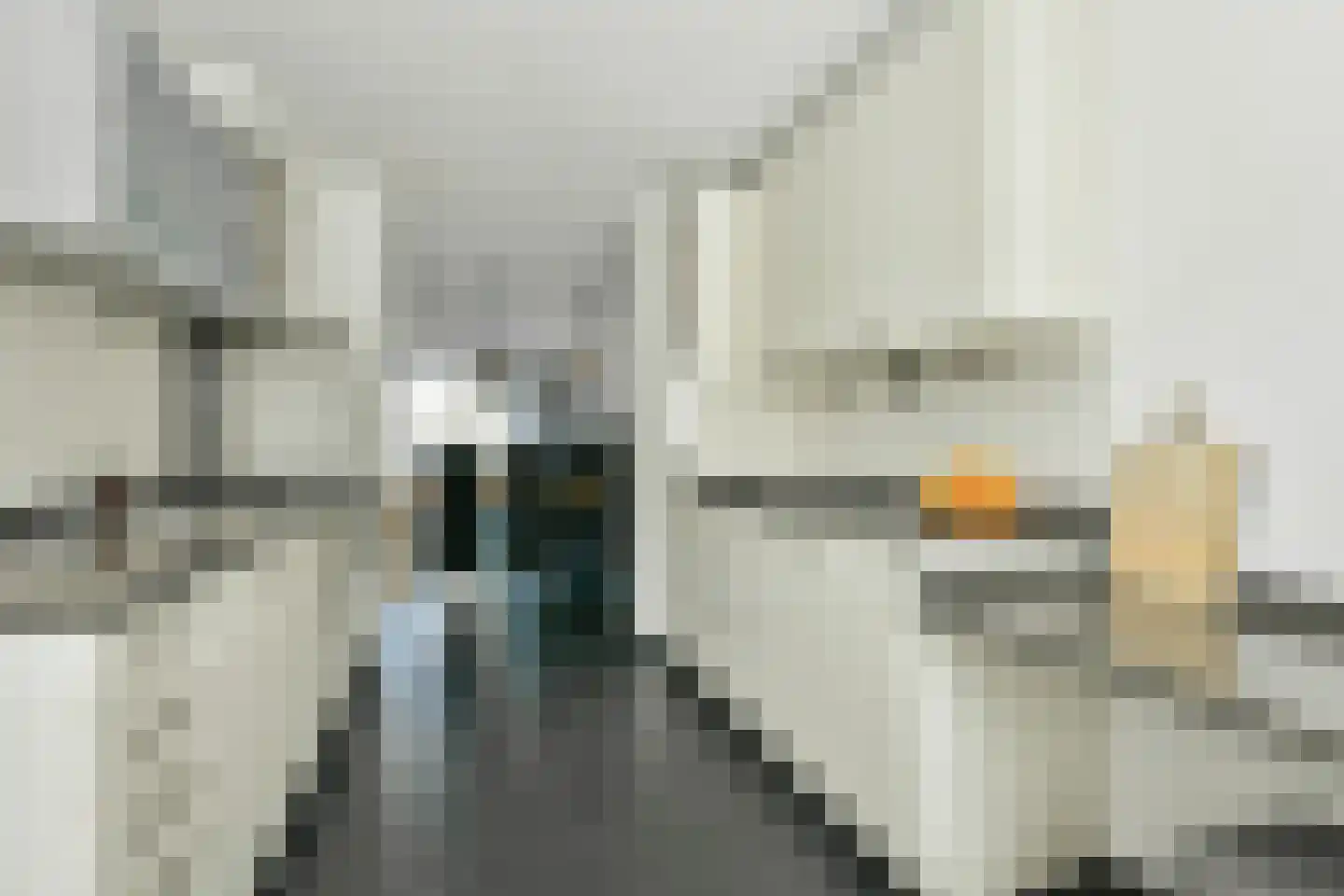 Grutto 15 Ouderkerk aan de Amstel thumbnail 6
