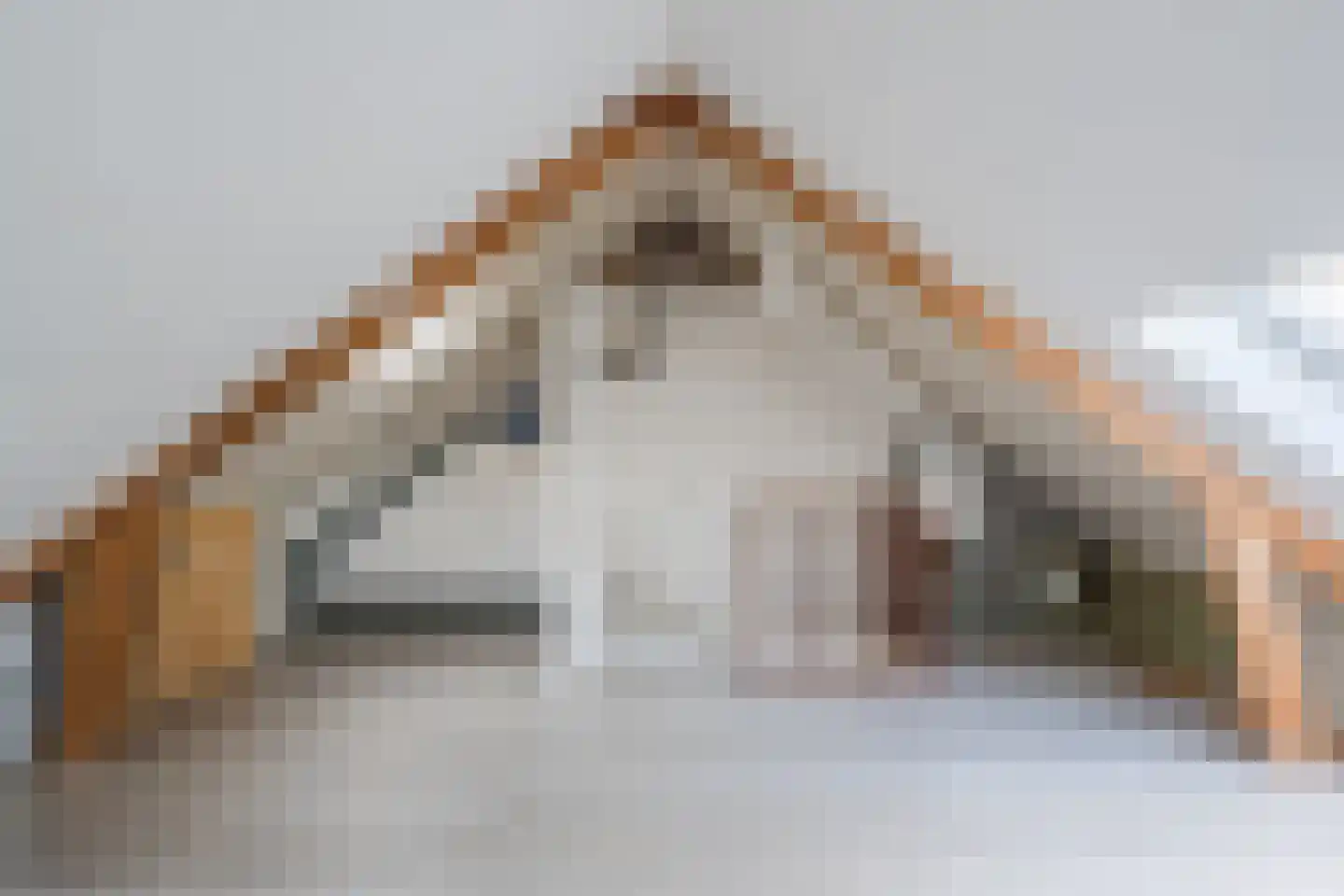 Grutto 16 Hoorn thumbnail 28