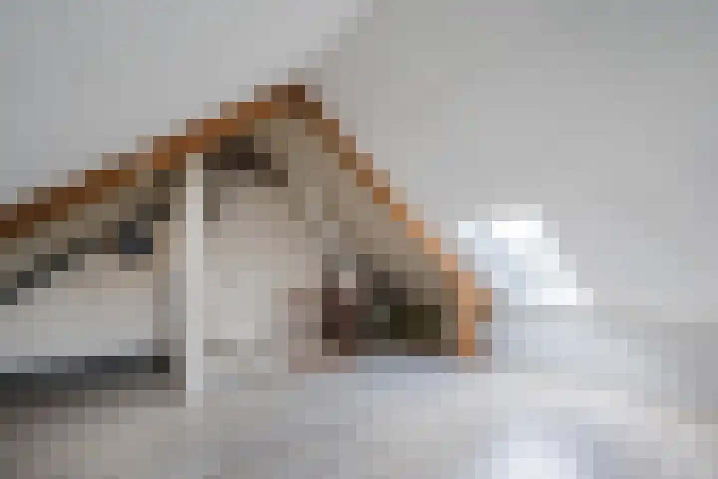 Grutto 16 Hoorn thumbnail 29