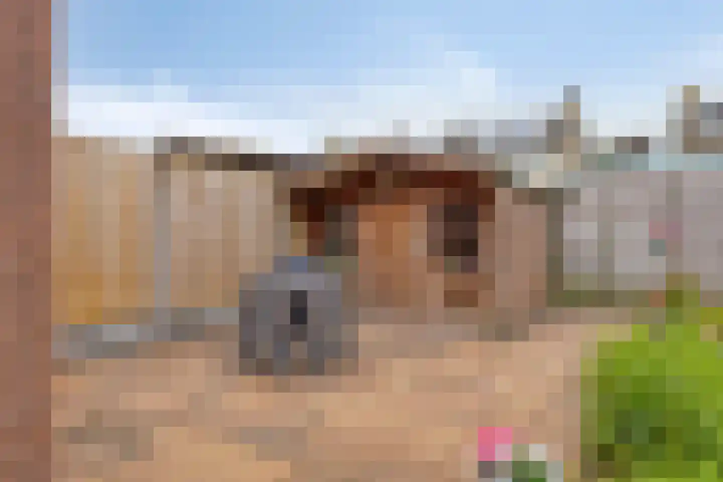 Grutto 16 Kampen thumbnail 28