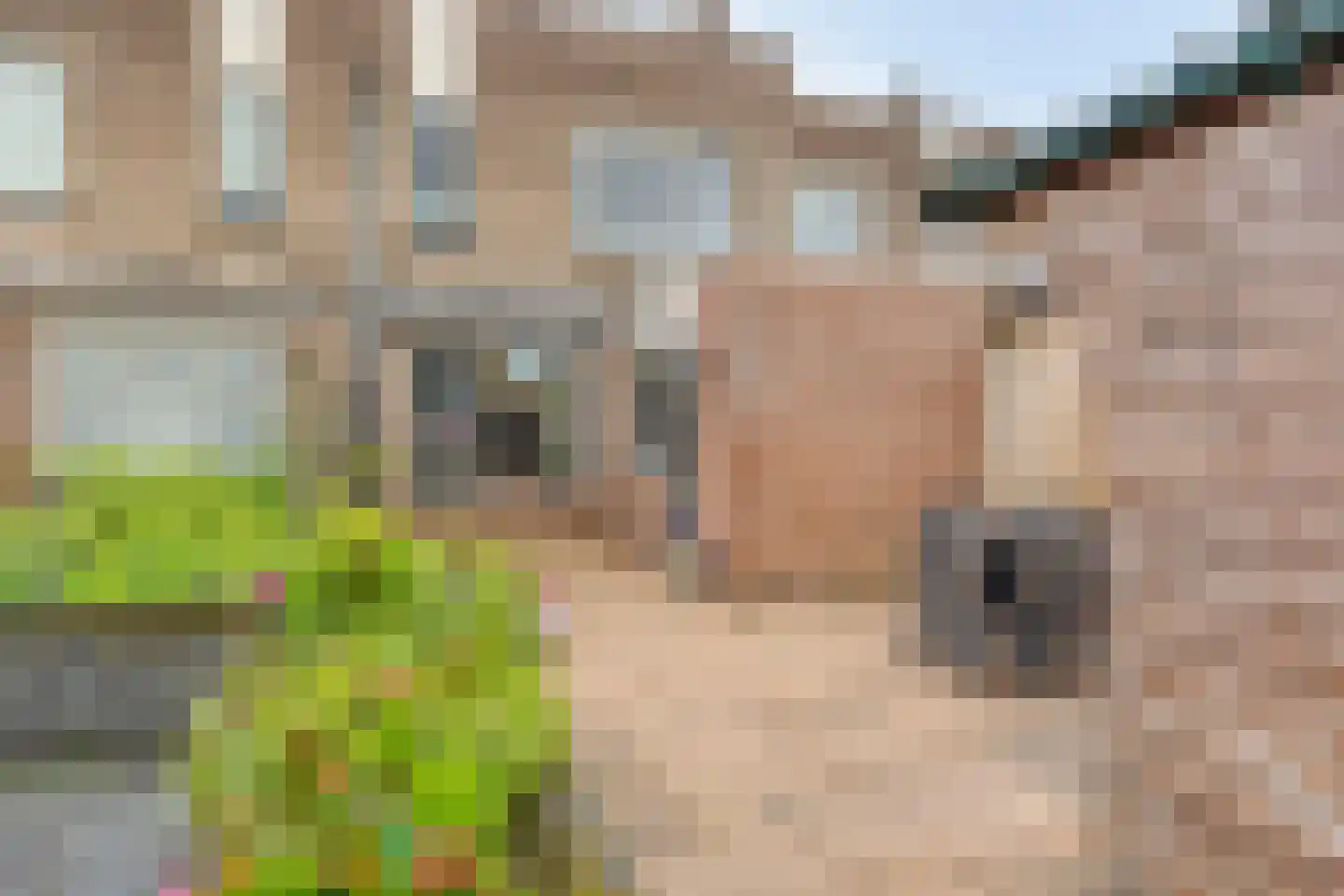 Grutto 16 Kampen thumbnail 29