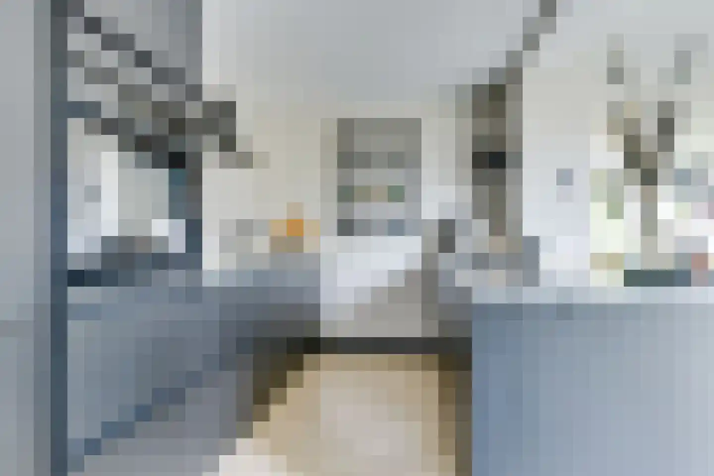 Grutto 16 Ursem thumbnail 16
