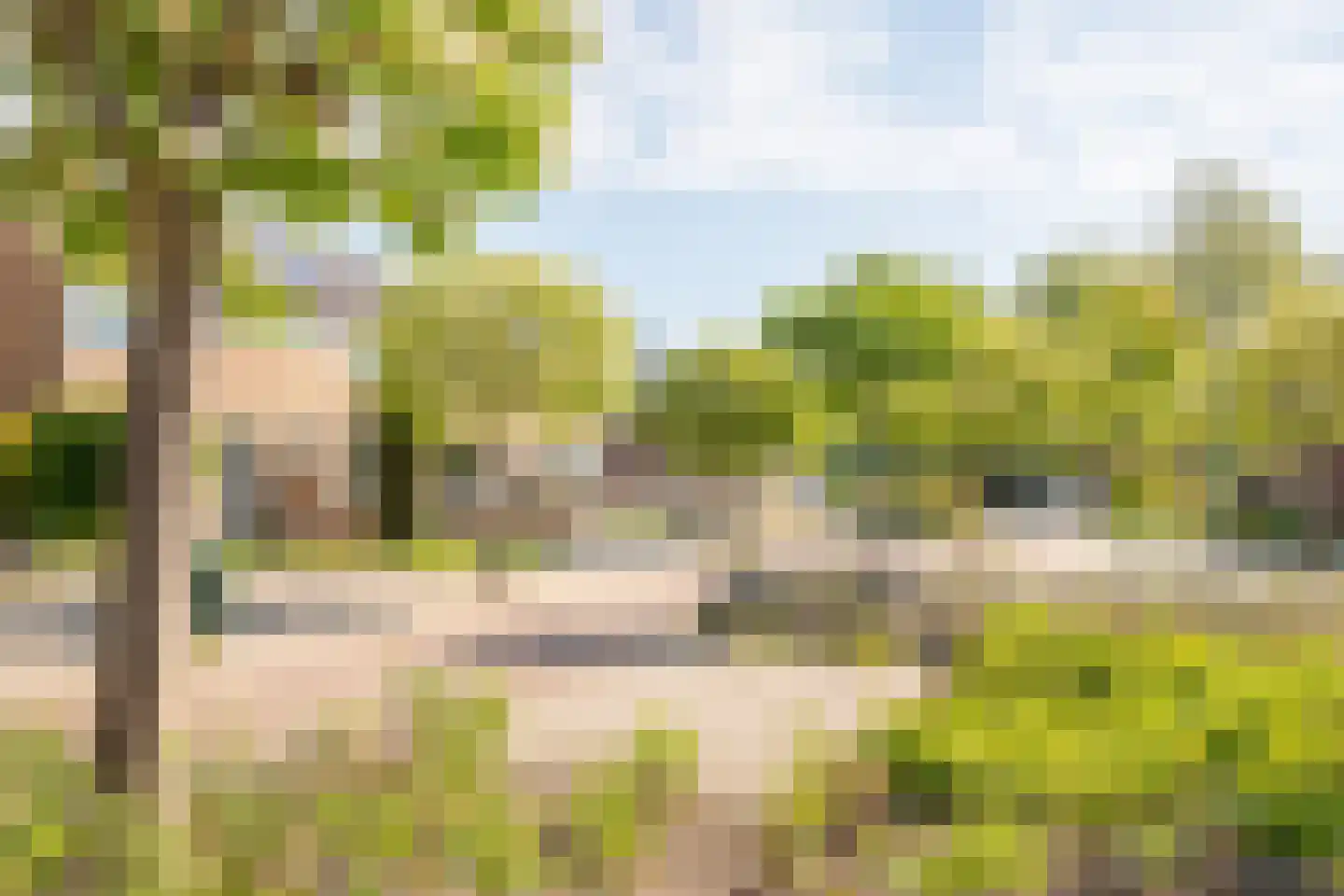 Grutto 16 Ursem thumbnail 51