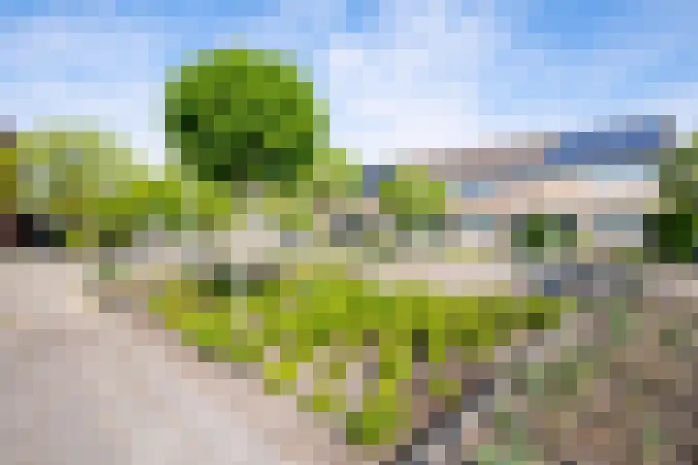Grutto 16 Ursem thumbnail 52