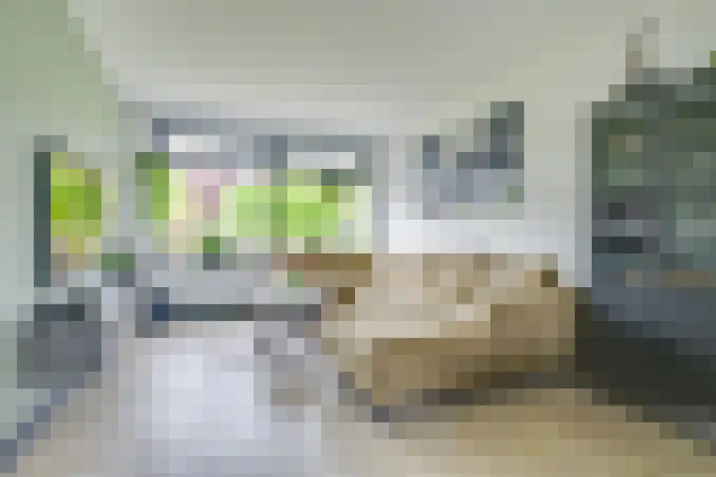 Grutto 16 Ursem thumbnail 7