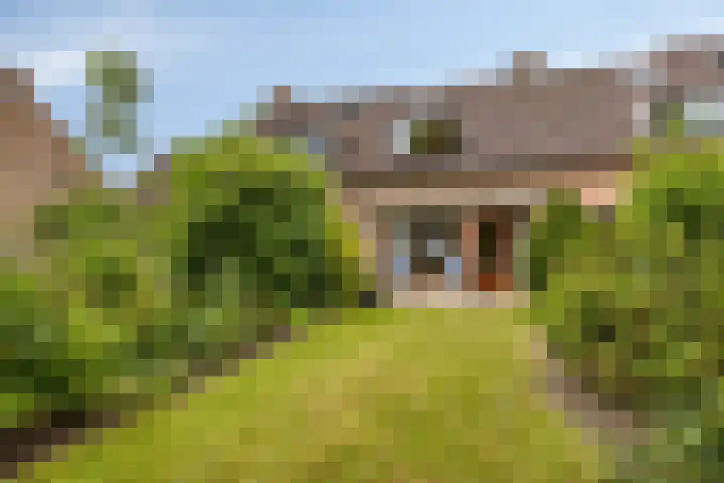 Grutto 19 Hoogvliet Rotterdam thumbnail 32