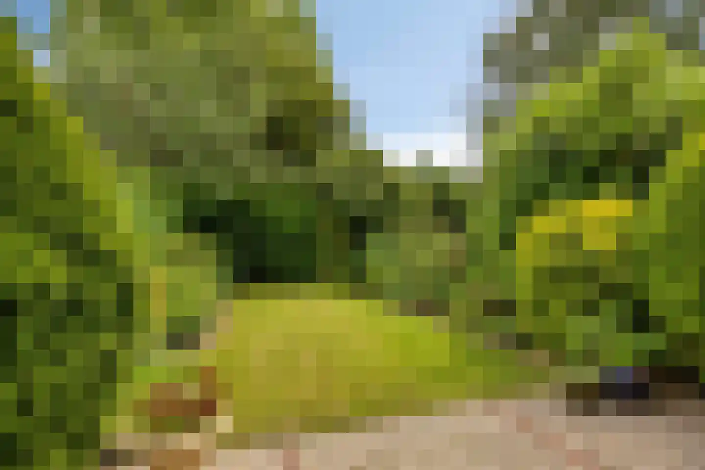 Grutto 19 Hoogvliet Rotterdam thumbnail 7