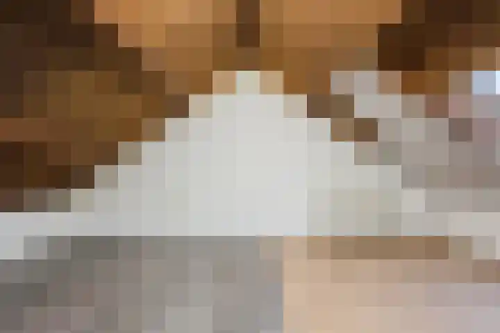 Grutto 21 Hoorn thumbnail 35