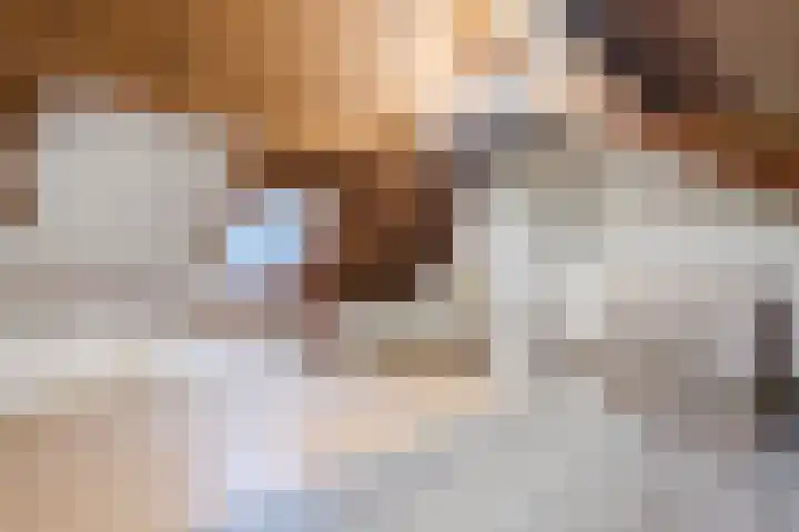 Grutto 21 Hoorn thumbnail 37