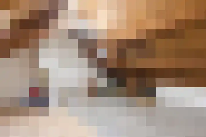 Grutto 21 Hoorn thumbnail 38