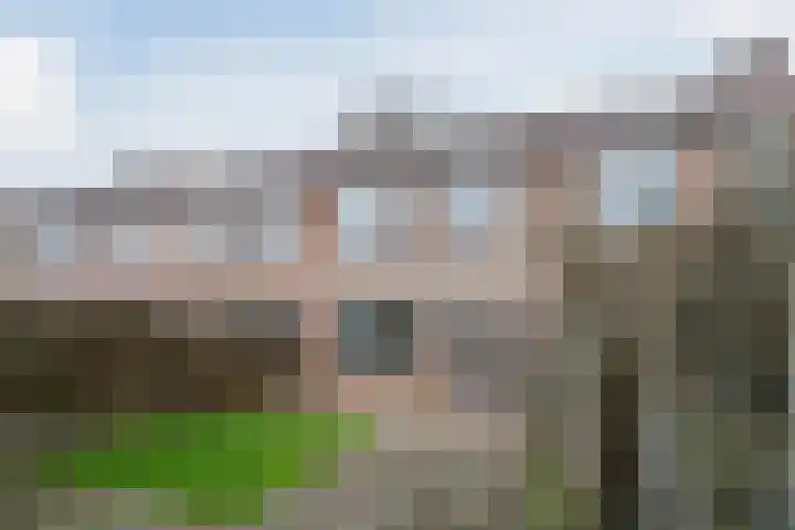 Grutto 21 Hoorn thumbnail 44