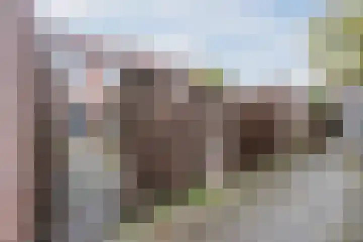 Grutto 21 Hoorn thumbnail 48