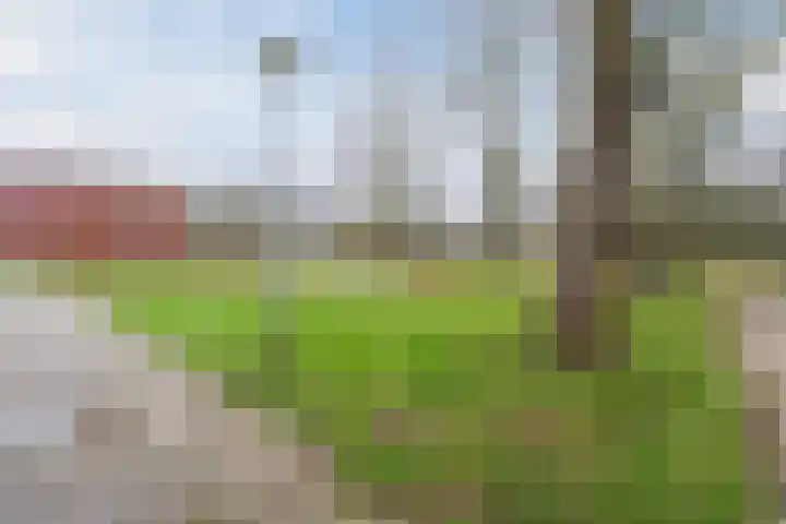Grutto 21 Hoorn thumbnail 52