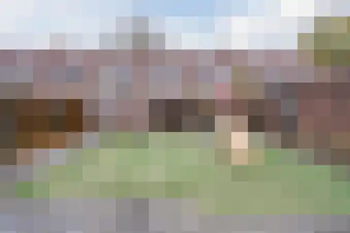 Grutto 21 Hoorn thumbnail 53