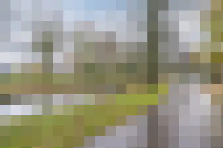 Grutto 21 Hoorn thumbnail 54