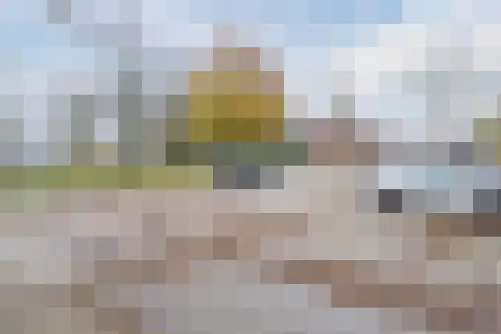Grutto 21 Hoorn thumbnail 55
