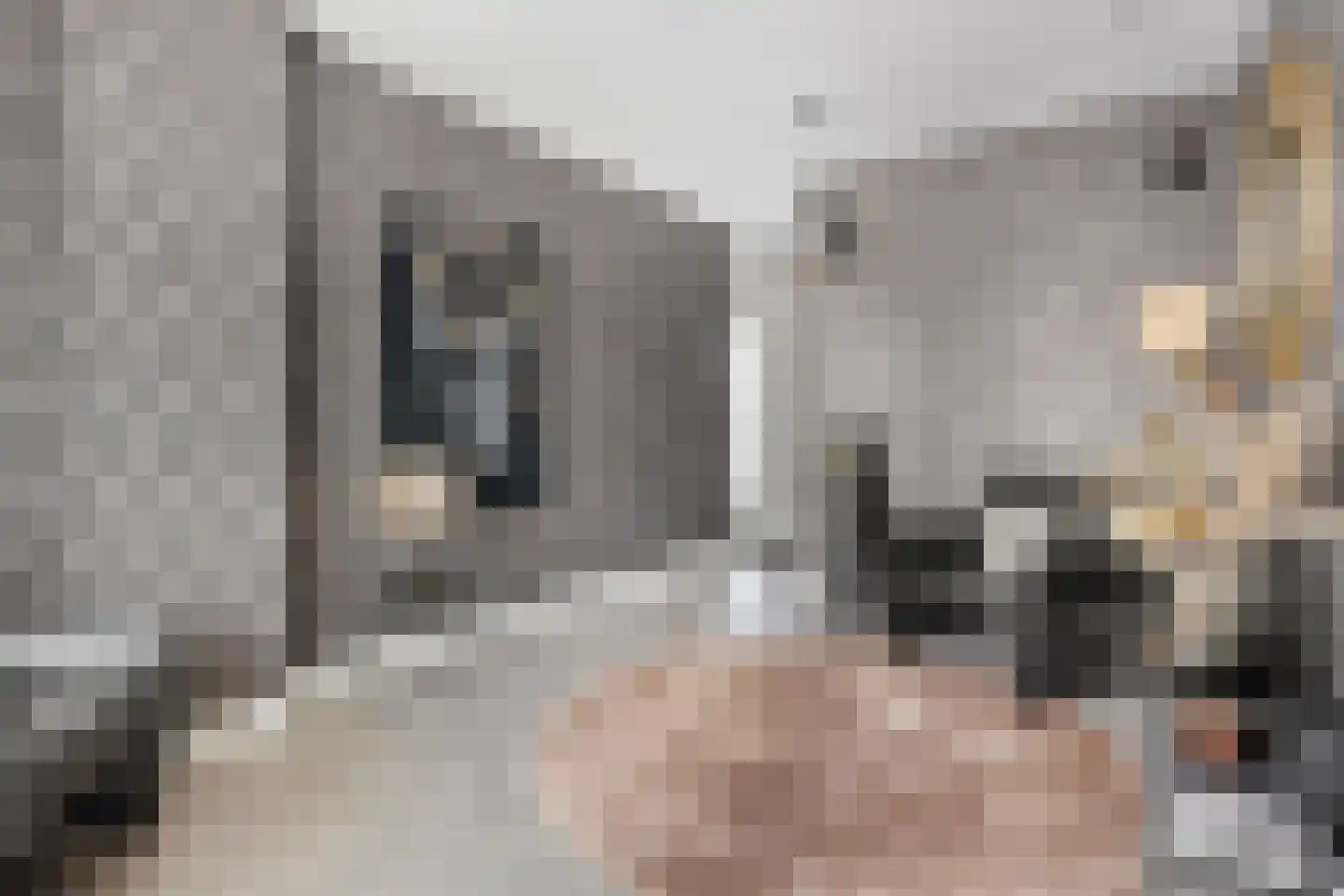Grutto 23 Venray thumbnail 34