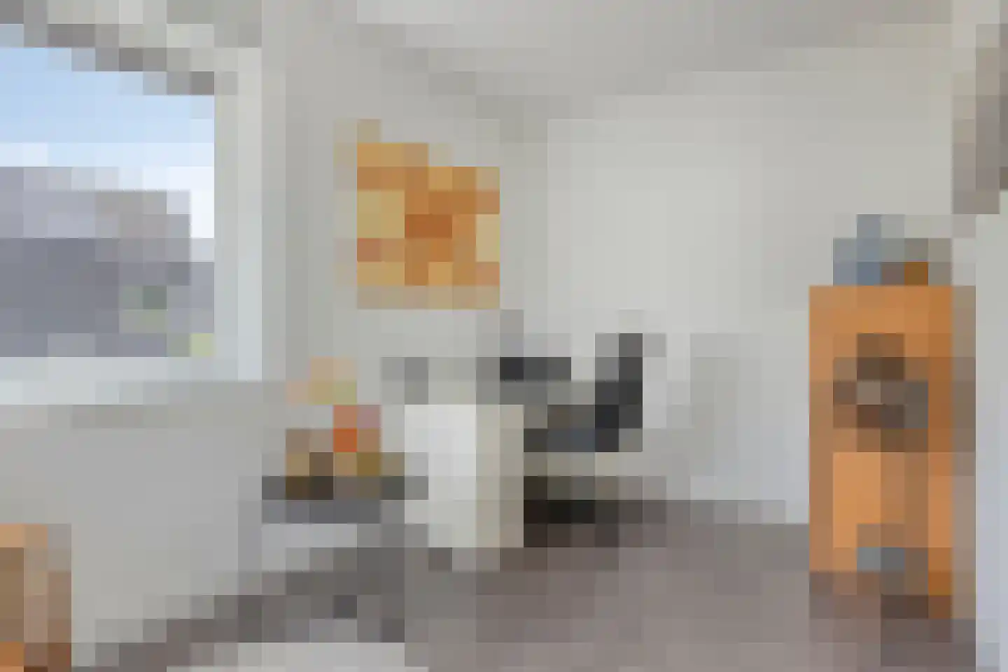 Grutto 23 Venray thumbnail 43