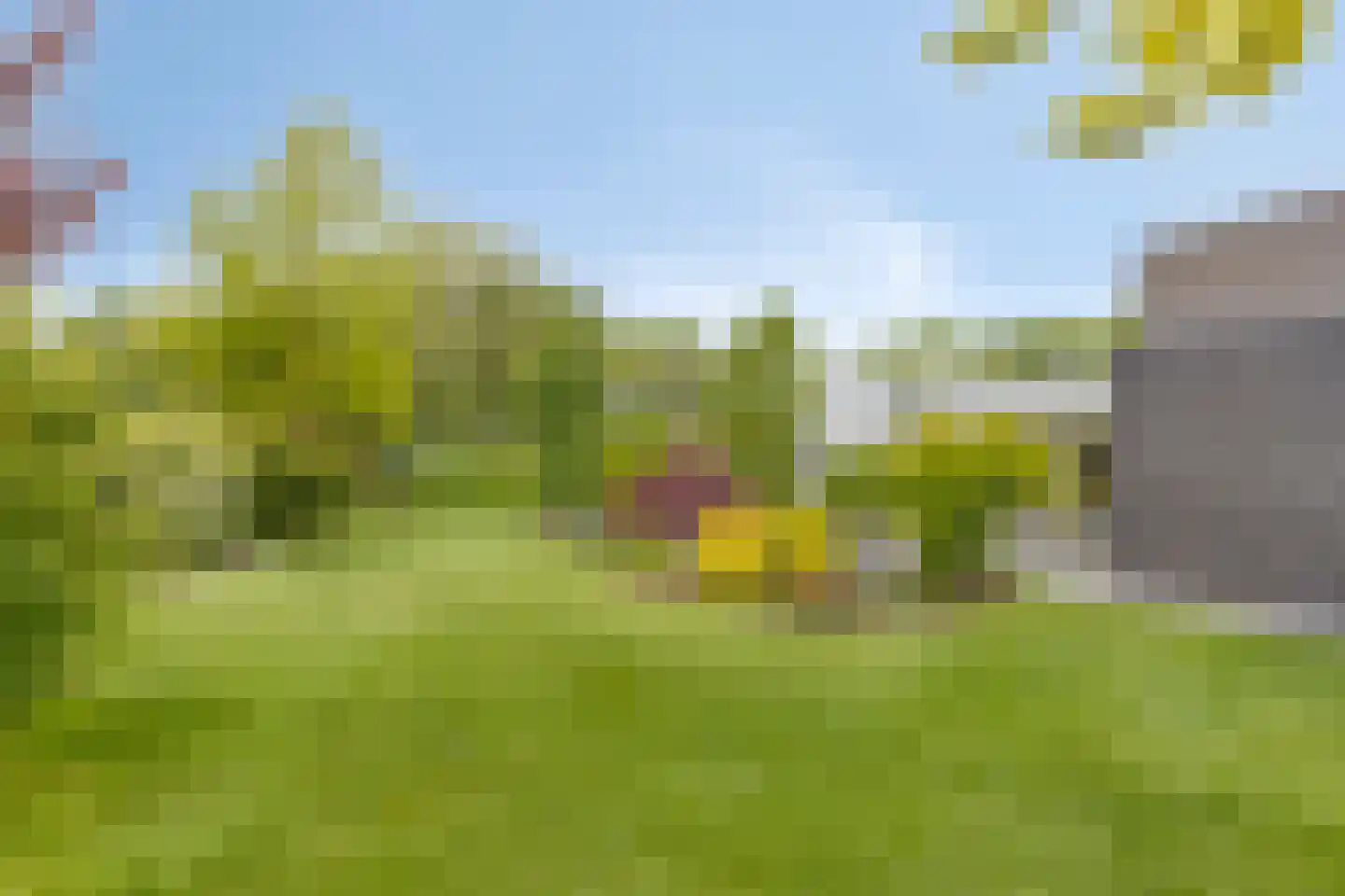 Grutto 23 Venray thumbnail 60