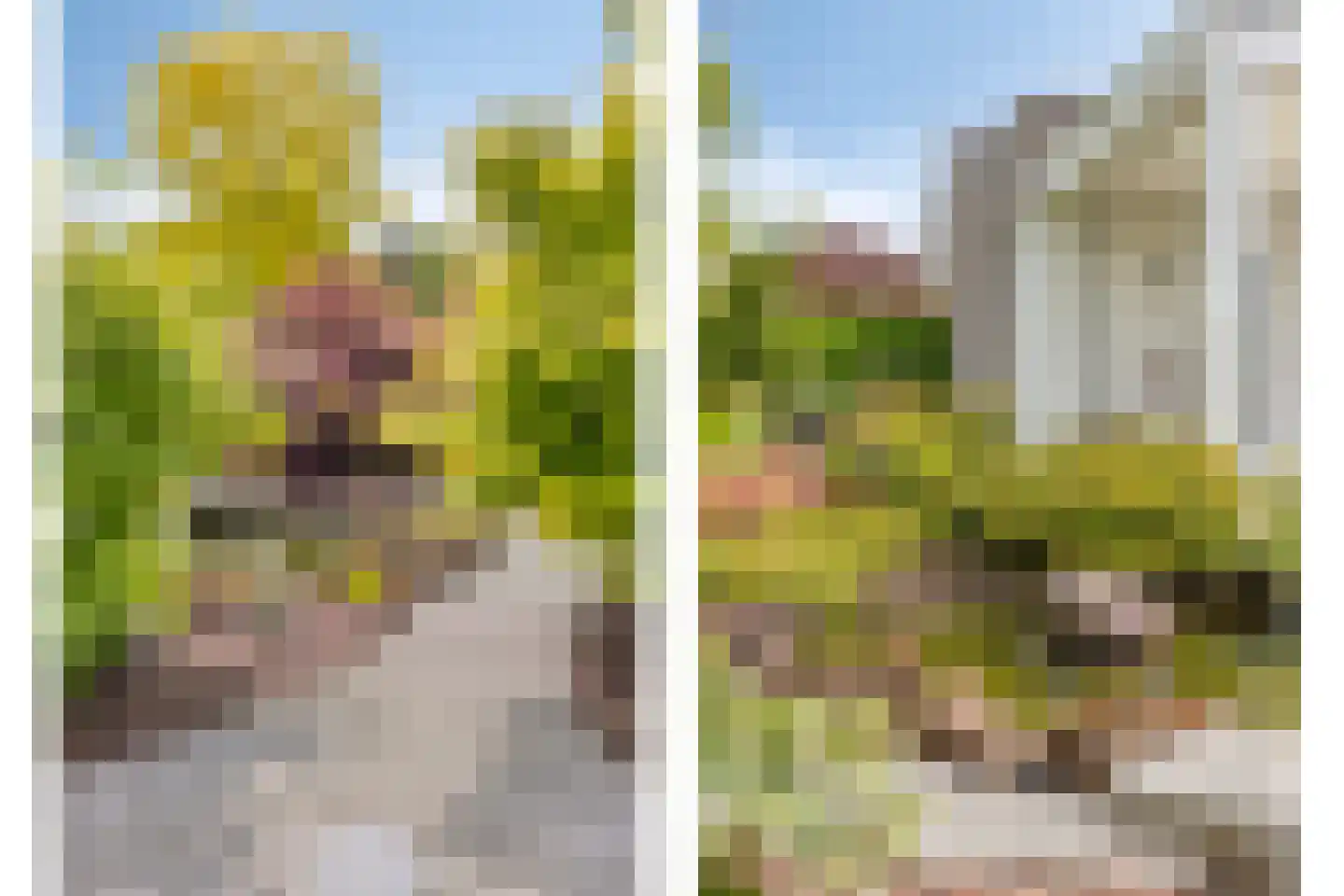 Grutto 23 Venray thumbnail 64
